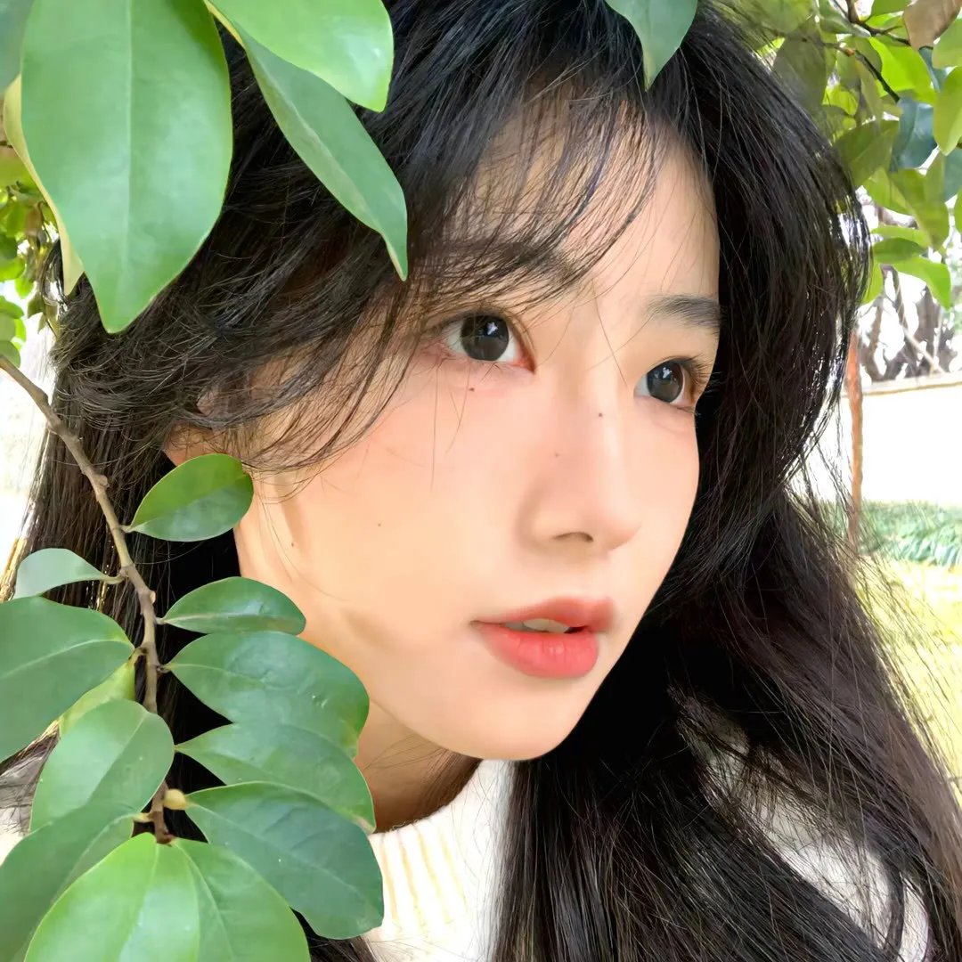 美食妙探